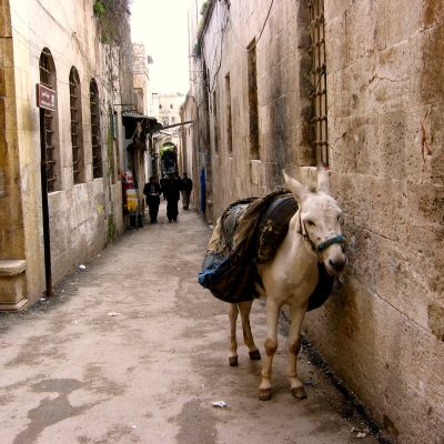 シリア　アレッポにて 2004年 撮影：ヤマザキマリ